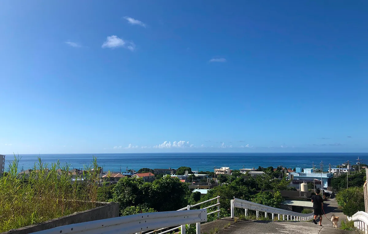 高台から海を望む風景
